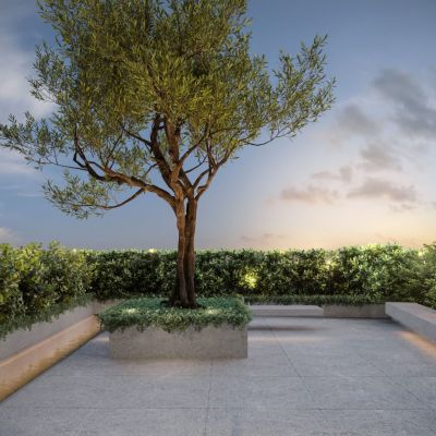 1677683842354_81adc5d4-589d-4686-9cb9-e7e845725fca