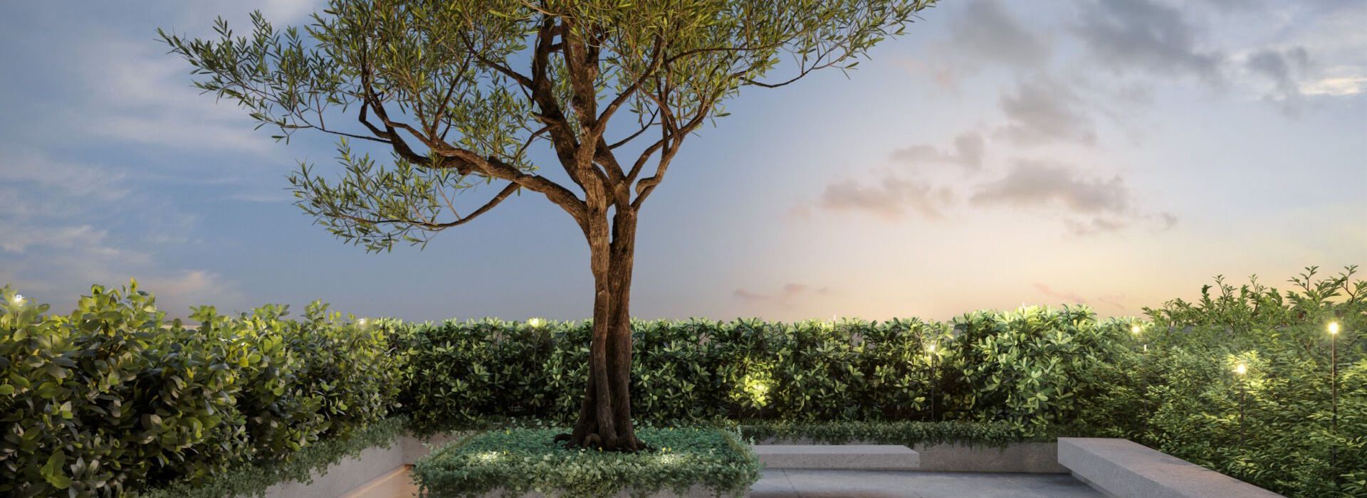 1677683842354_81adc5d4-589d-4686-9cb9-e7e845725fca