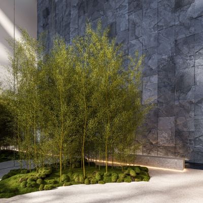 1677683848666_61a2fc65-a586-4faa-8977-66a87c36b7e5