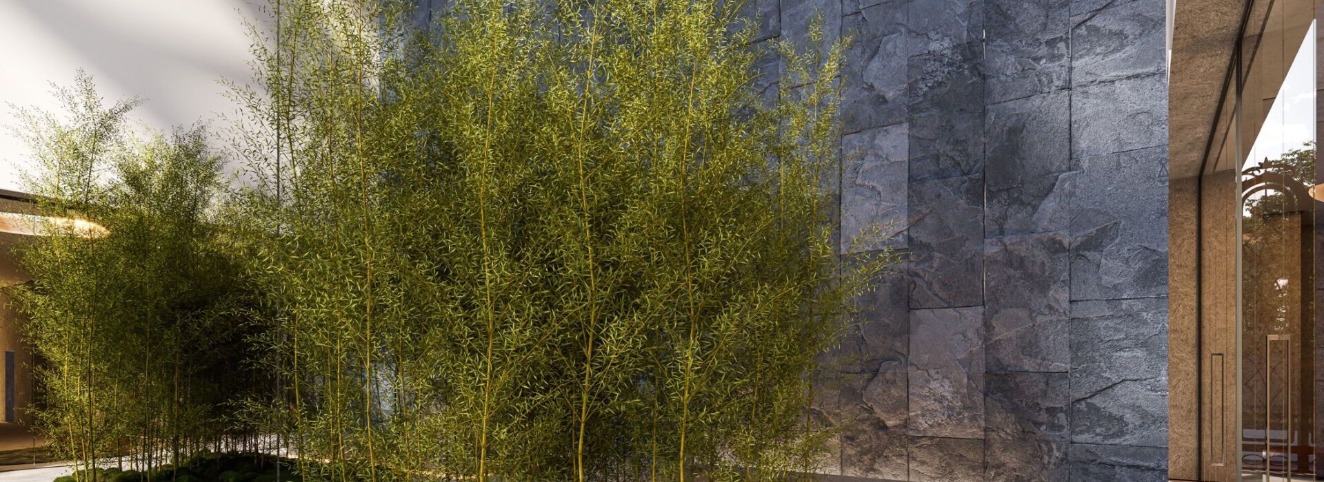 1677683848666_61a2fc65-a586-4faa-8977-66a87c36b7e5