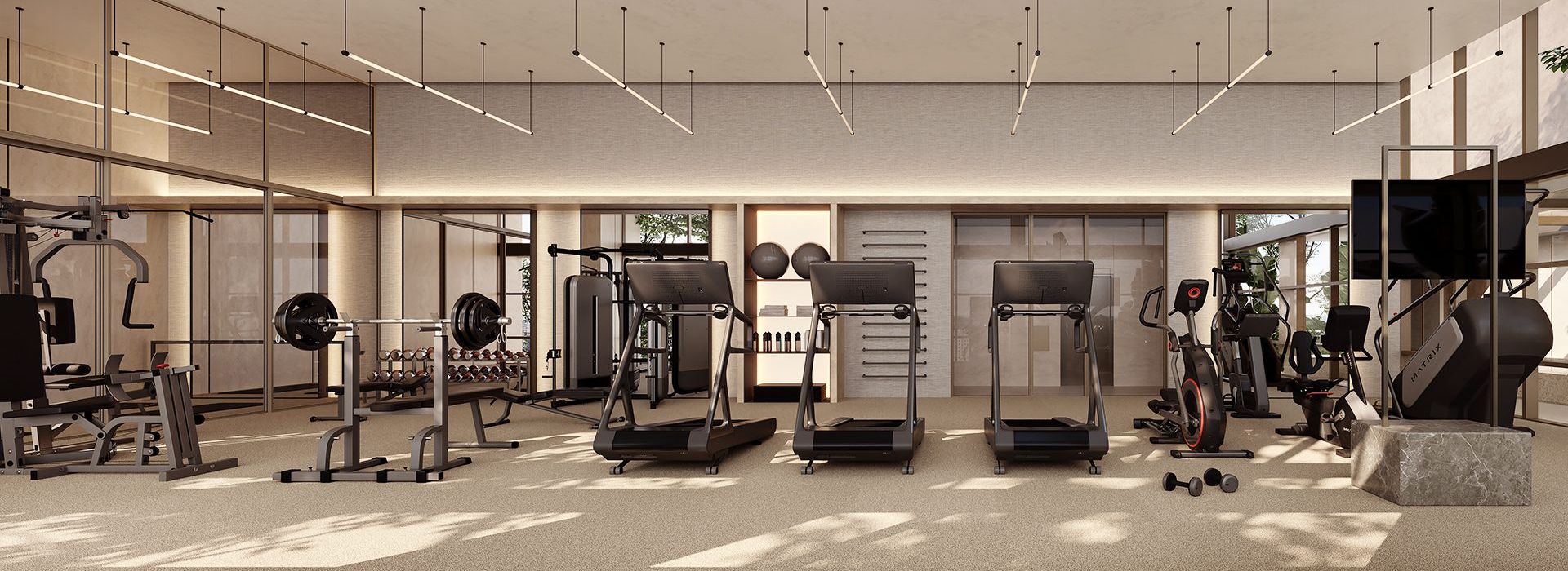 VI_CR_ACADEMIA_EF_web